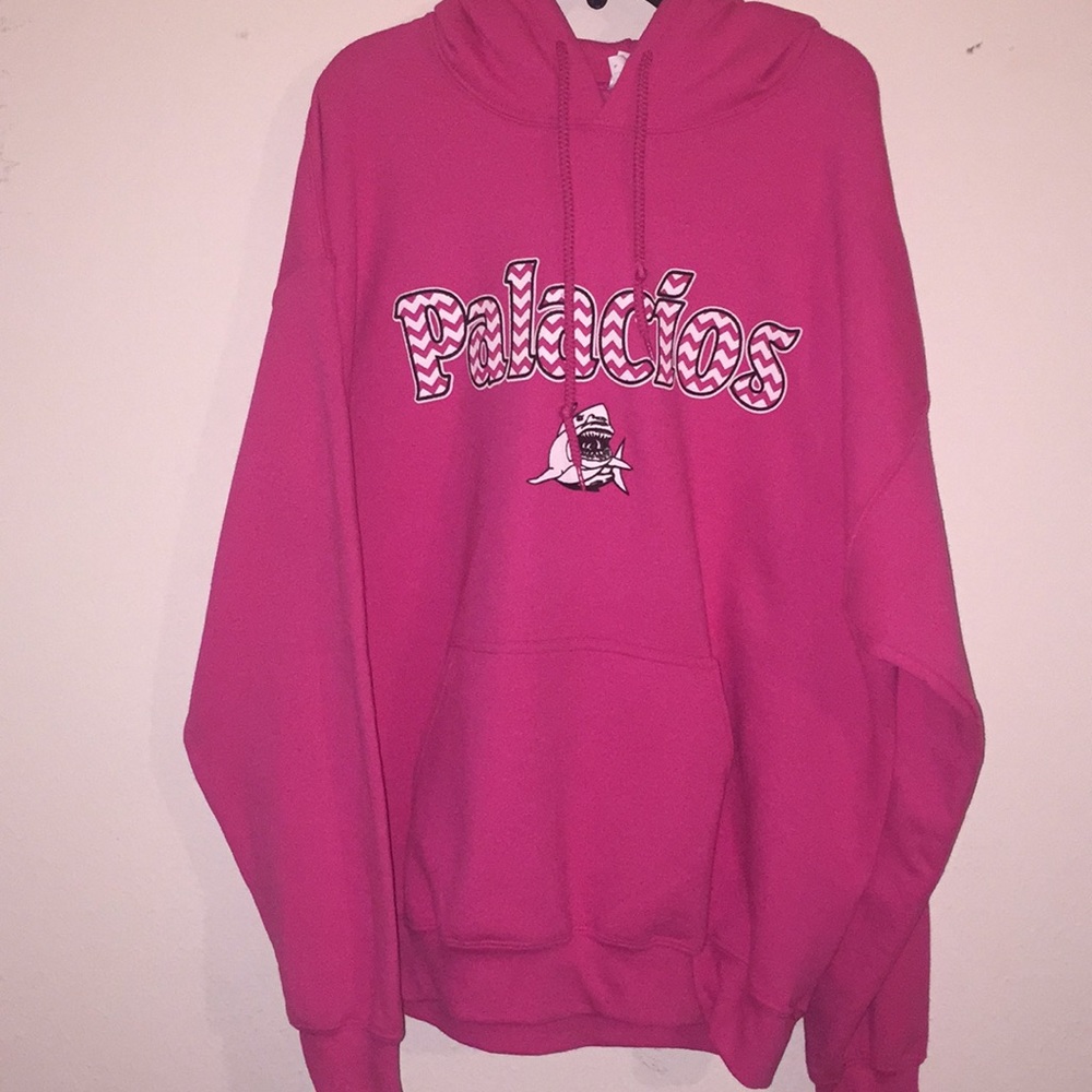 Pink Palacios pullover hoodie